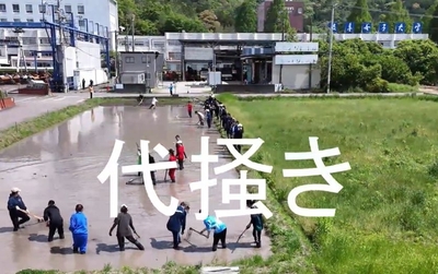 代掻き　画像.jpg
