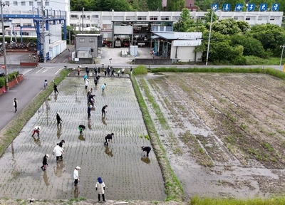草取り.jpg
