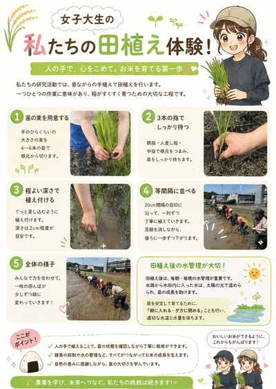 田植え解説.jpg