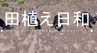 田植え　活動の様子.jpg