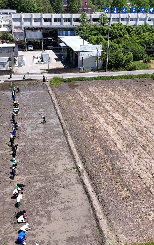 田植え３.jpg