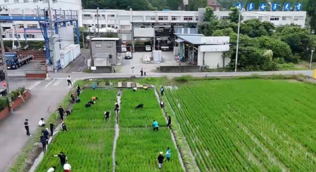 たんぼ　草取り溝きり中 横.jpg