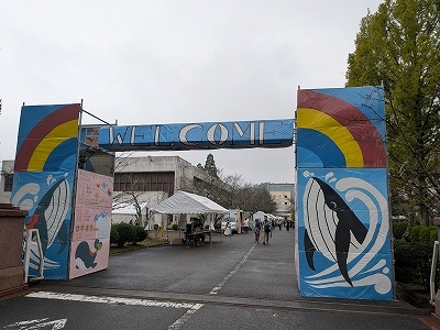PXL_20251011_033053356.jpg