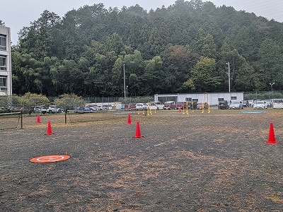 PXL_20251011_034034306.jpg