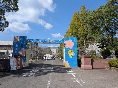 PXL_20261010_014920441.jpg