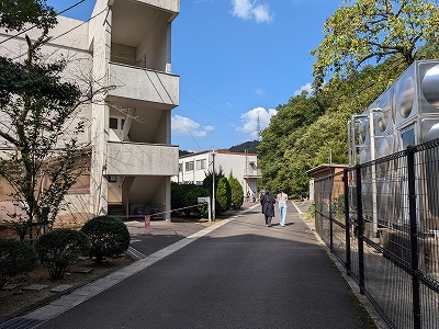 PXL_20261010_020836653.jpg