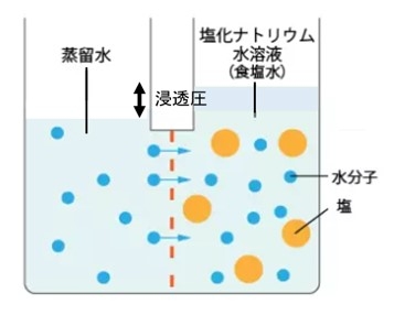 20250704　体験授業B.jpg
