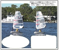sail boats mini.jpg