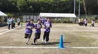 IMG_20261008_110341.jpg