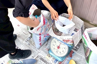 LINE_ALBUM_2026.4.22_播種_260423_2.jpg